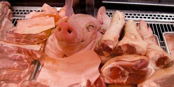 Pork Meat Dangerous to Human Health?