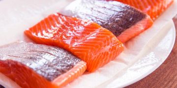 Benefits of Salmon for Body Health